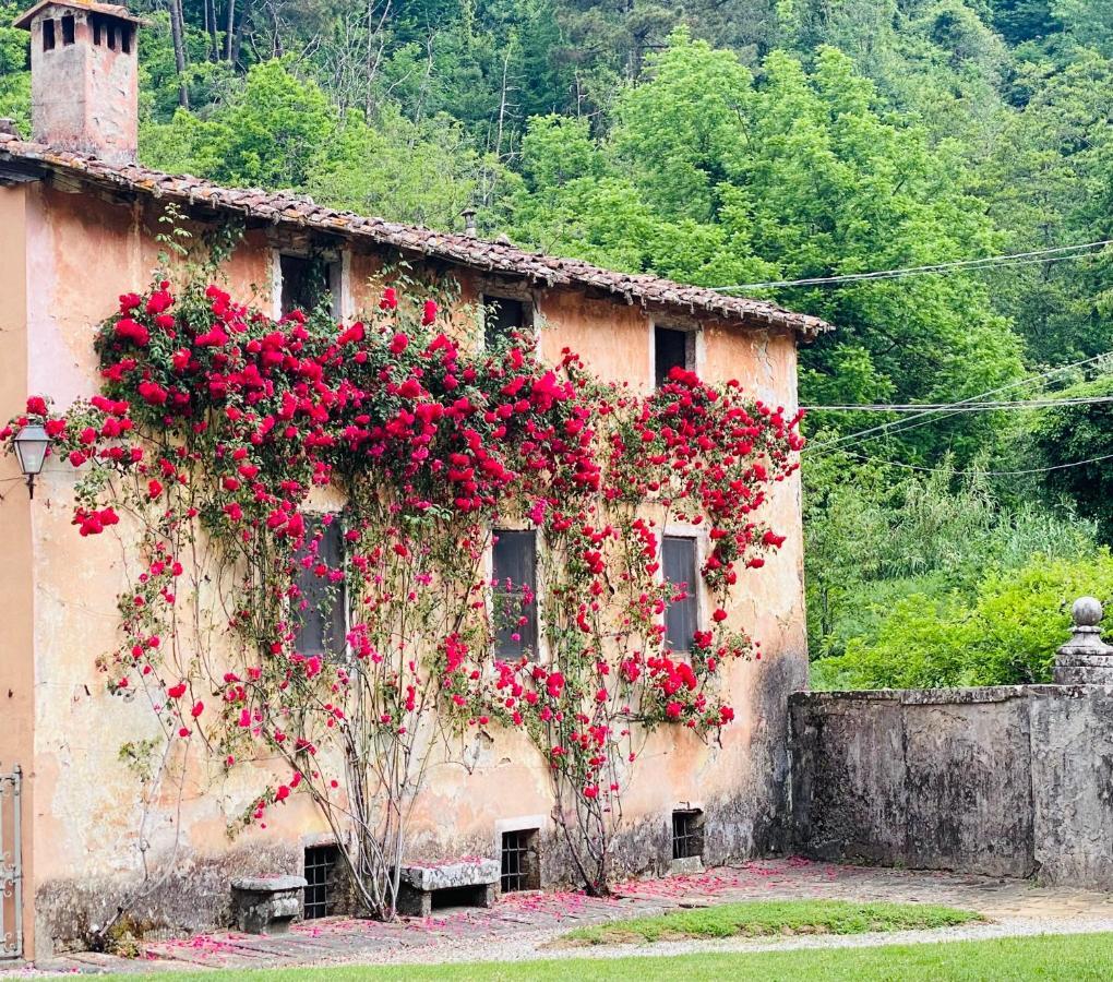 Villa Sardi Small Luxury Boutique Hotel ルッカ エクステリア 写真